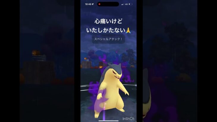 ごめんねトゲデマル#GBL#ポケモン #ポケモンgo #cat #comedy #cute