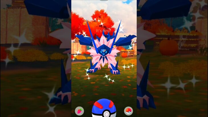 Happy Halloween 🎃 Shorts Pokémon Go #pokemongo2025 #pokemon #pokemongotips #pokemongo