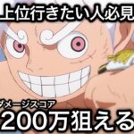 【トレクル】上位行きたい人必見！討伐祭  全バトル ダメージスコア200万狙える！ガチガチ爆盛り火力編成！！【ASSAULT RUMBLE】【OPTC】