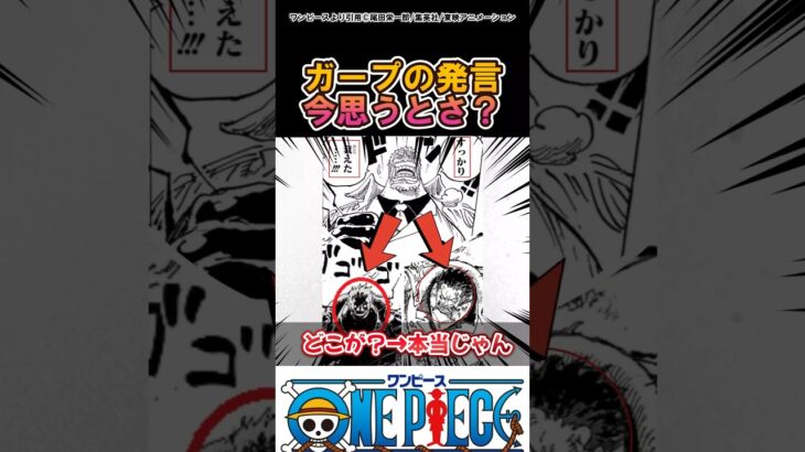 【ワンピース】ガープの発言虚言じゃなかった…#ワンピース