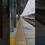 #ウマ娘プリティーダービー #animation #歌ってみた #train 7203#r100 #貨物列車