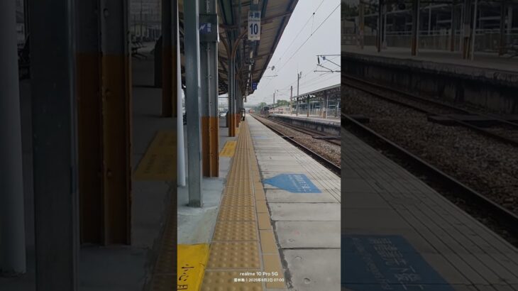 #ウマ娘プリティーダービー #animation #歌ってみた #train 7203#r100 #貨物列車