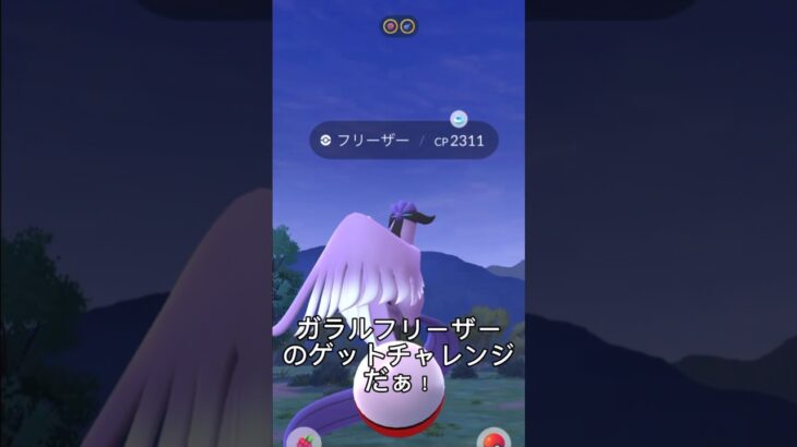 【ポケモンGO】久しぶりのガラル三鳥だぁ！！　#ポケモンgo #ポケモン #ガラルフリーザー #かっこいい #shorts
