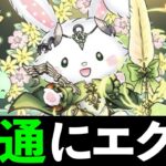 【ヌンティー崩壊】サンリオコラボ新キャラが面白そう！ぶっ壊れはキティプリンか【パズドラ】