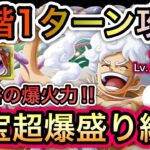 【トレクル】 海賊王への軌跡 VS ドリー＆ブロギー Lv.200対応！全階1ターン攻略！ナス寿郎聖、ピーター聖なし！お宝超爆盛り編成！【OPTC】