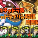 【パズドラ】キティガチャドラ＆ガチャドラプリン降臨を四ノ宮キコルで周回する編成を作ってみた