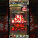 【現実】引く前は楽しかったのに当たらんかったら人間はこうなる #たかし #パズドラ