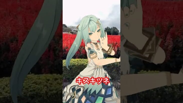 【サルビア キスキツネ 1/3】 鮮やかな真紅の花畑で  原神のファルザンと藍硯（らんやん）が「キスキツネ」