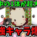 【今回の超大当り枠が確定】ついに最強○○初実装！ミナ所持者は特に必見です！新キャラ6体解説！パズドラ最新情報解説【パズドラ】