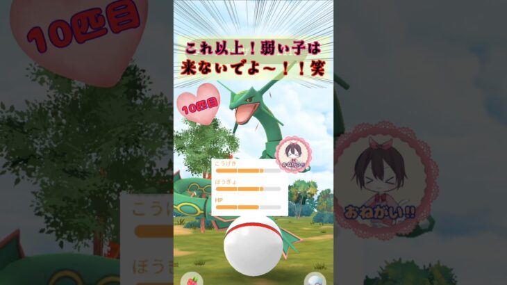 レックウザ１５連♪黒龍を狙う！【ポケモンGO】