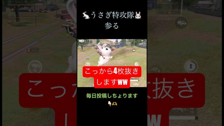 うさぎって乗り心地悪そうww【荒野行動】#荒野行動 #クリップ #キル集