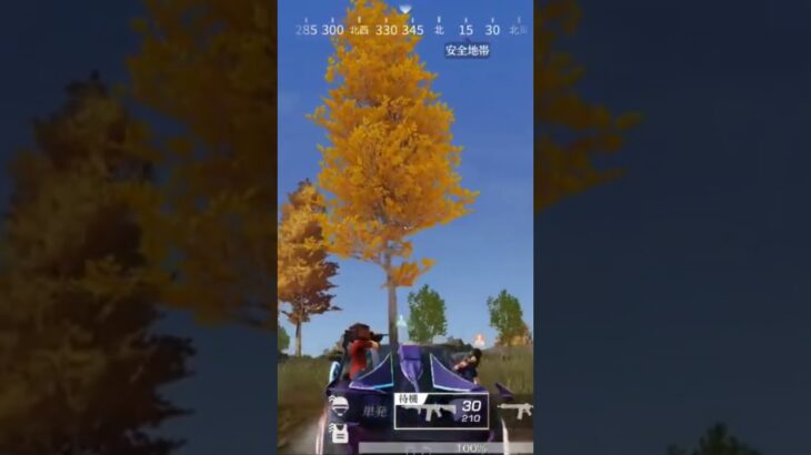 【荒野行動】臨戦態勢の精鋭達にBGMをプレゼントしてみた。ワイルドシリーズ。