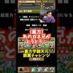 【万寿以来】称号チャレンジにガネ兄を連れて行くこの世で唯一の男裏方 #たかし #パズドラ