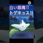 最強の白い悪魔‼︎ トゲキッスがジャングルカップで無双‼︎ #ポケモンgo #goバトル #goバトルリーグ #gbl