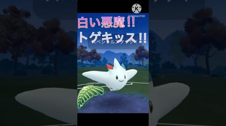 最強の白い悪魔‼︎ トゲキッスがジャングルカップで無双‼︎ #ポケモンgo #goバトル #goバトルリーグ #gbl