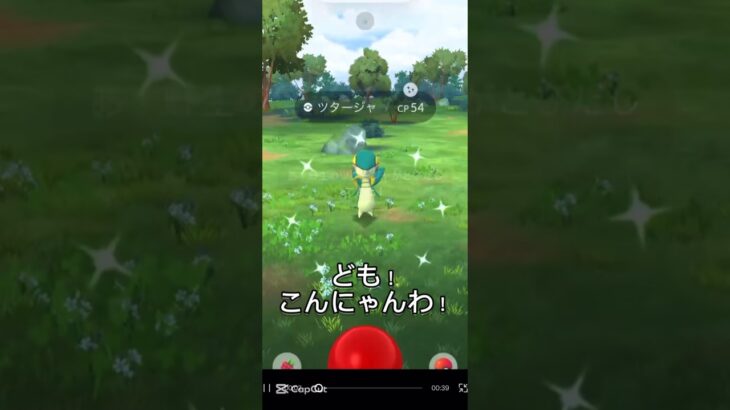 【ポケモンGO】早すぎる決着にツッコミを入れる創破　#ポケモンgo #ポケモン #色違い　#かわいい #shorts