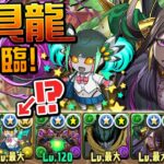 突如強化された学園メノアを使って玩具龍降臨やってみようの会【パズドラ】