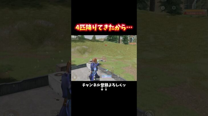 Dualでゴリ押し4枚 #shorts #荒野行動 #あでがえーる