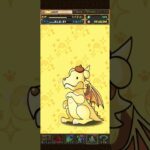 パズドラ「サンリオキャラクターズガチャ」ログインスタンプ7日目／2025年10月30日