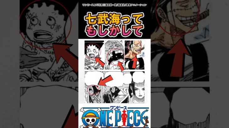 【ワンピース】七武海ってもしかして…#ワンピース