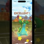 💢🐒#GBL#ポケモン #ポケモンgo #cat #comedy #cute