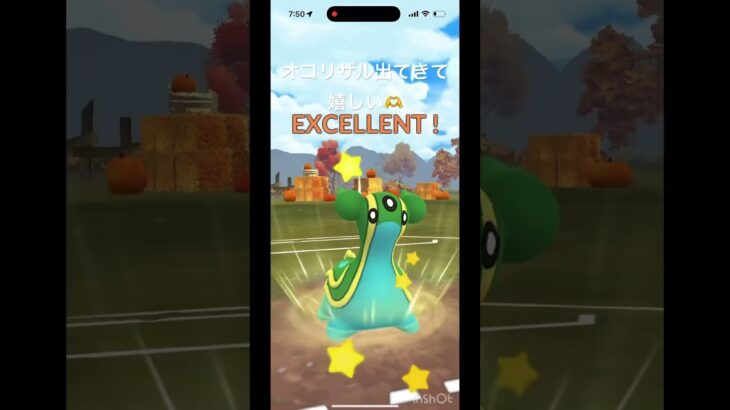 💢🐒#GBL#ポケモン #ポケモンgo #cat #comedy #cute