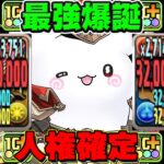 圧倒的人権性能⁈ 史上最強ループスキルのおばけヴァレリアがヤバすぎる【パズドラ】