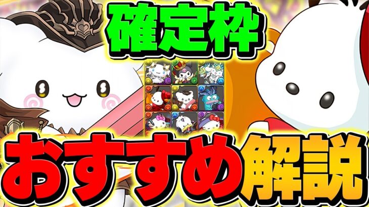 ポチャッコって今更本当に必要？サンリオコラボ確定枠オススメキャラ解説！【パズドラ】