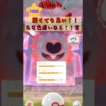 D-MAX コロモリ14連♪色違い厳選!!【ポケモンGO】