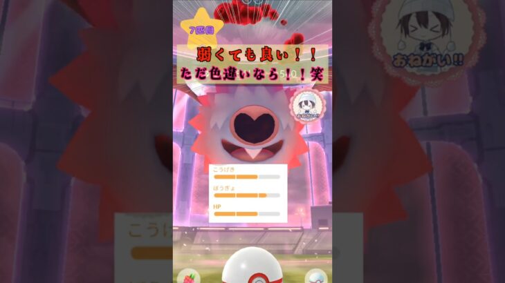 D-MAX コロモリ14連♪色違い厳選!!【ポケモンGO】