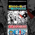 【ワンピース】麦わらの一味って一般人からしたら#ワンピース