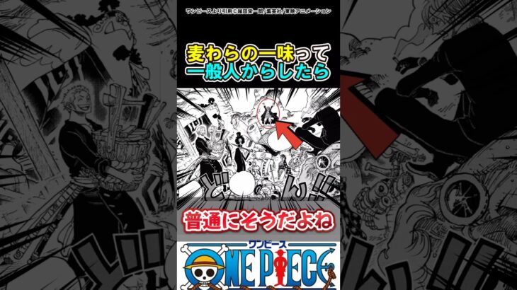 【ワンピース】麦わらの一味って一般人からしたら#ワンピース