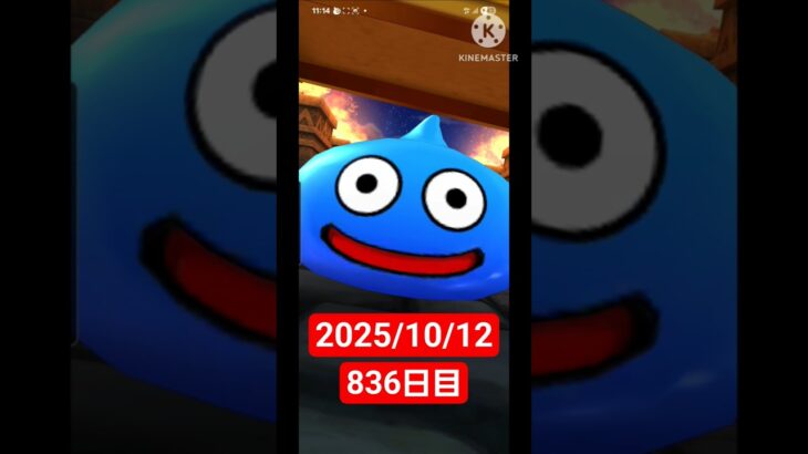 【ドラクエウォーク】永遠のビギナー男のデイリーガチャ2025/10/12【836日目】#ドラクエウォーク#ドラクエウォークガチャ#ガチャ動画#おすすめに乗りたい