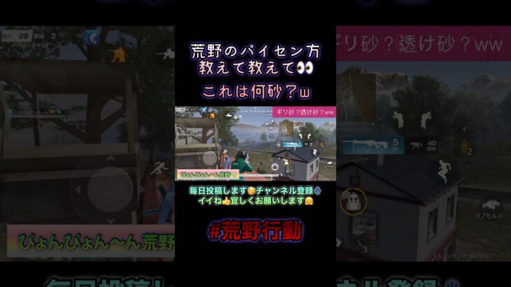パイセン達に届けこの想い🙏🔥荒野行動８周年直前👀⭐️#荒野行動#knivesout #荒野行動純金配布 #荒野行動iphone勢 #shorts#gaming #砂