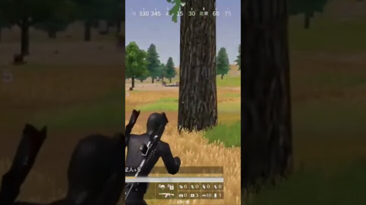 【荒野行動】全力疾走する精鋭を追跡しながら切ないBGMを付けてみた。ワイルドシリーズ。