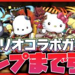 【パズドラ ドラゴン縛り】ドラゴン大量のサンリオコラボがキターー!!ドラゴンコンプまでガチャを引く配信 #shorts