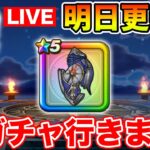 【ドラクエウォーク】明日更新です!! その前に滅盾を当てて気持ちよく迎えたい!!【DQW】