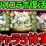 サンリオコラボ新キャラ性能5体解説！また十字最強リーダーが実装されそうなんだがｗｗ【パズドラ】