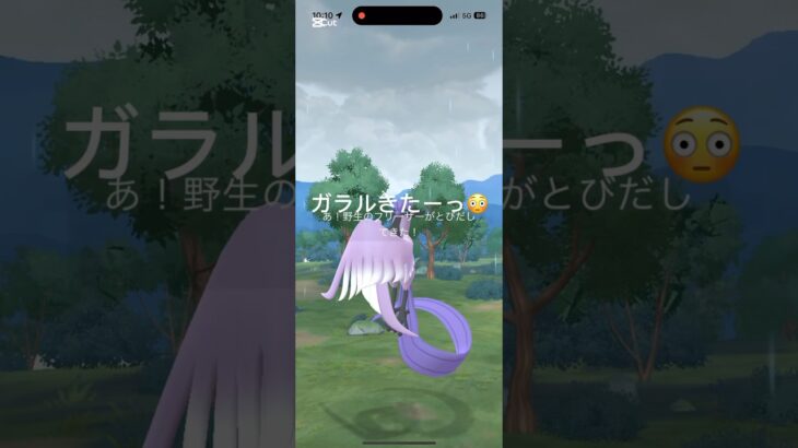 久々に遭遇☺️ #ポケモンgo  #ガラル三鳥 #pokemongo #ポケモン