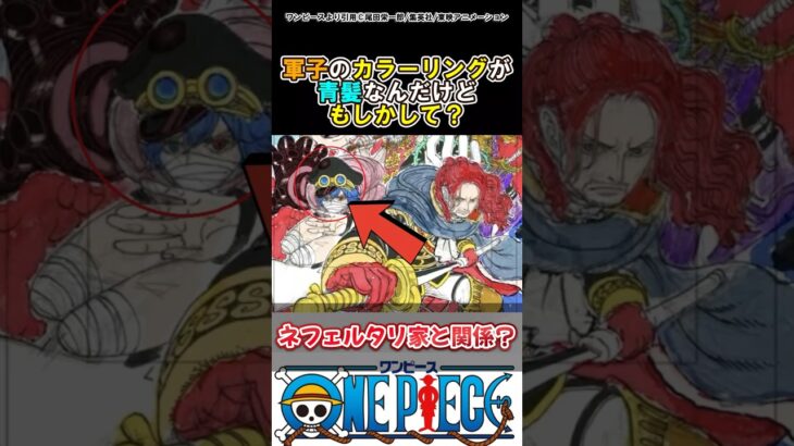 【ワンピース】軍子のカラーリングが判明したけど#ワンピース