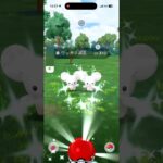 【ポケモンGO】ファンシーフレンズででた色違い！？初ゲット！！#ポケモンgo色違い  #ポケモン #ポケモンgo #pokemongo #pokémongovideos