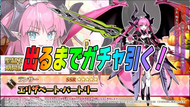 【FGO】星5エリザベート・バートリー出るまでガチャ引く！【最速最終再臨＆性能確認】