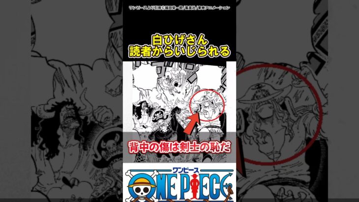 【ワンピース】白ひげさん読者からイジられる#ワンピース