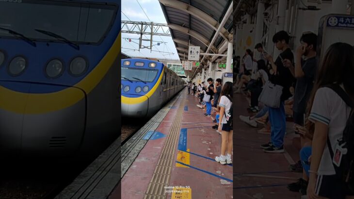 3247#emu800 #ウマ娘プリティーダービー #ウマ娘 #歌ってみた #原神