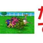 【なかまモンスター】日曜のお昼は縦配信【ドラクエウォーク】