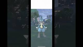 メガルカリオレイドおかわりしてみた‼️#ポケモンgo