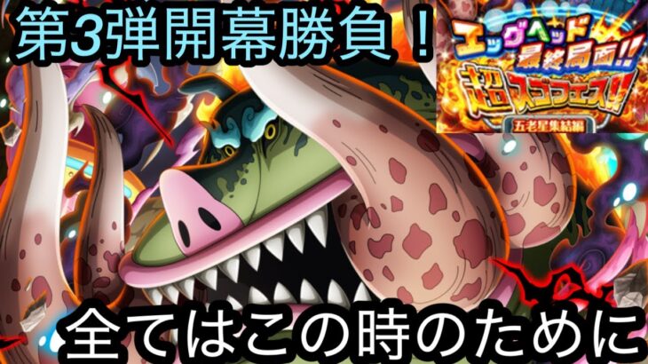 [トレクル]エッグヘッド最終局面超フェス第 3弾開幕勝負！全てはこの時のためだったってことか。[OPTC][超フェス]