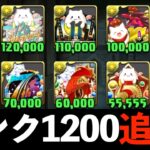 【11/19開始】ワクワクをありがとう！特大リセットリニューアルについて【パズドラ】