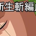 トレクル 新ゾロ入り新生斬撃編成