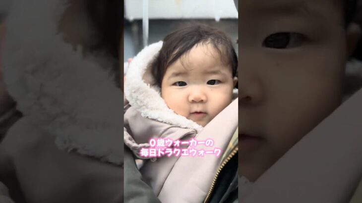 ０歳ウォーカーの毎日ドラクエウォーク #dqウォーク #赤ちゃん #ドラクエウォーク #ドラクエ #ゲーム実況 #ドラゴンクエスト